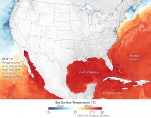 2021-08-13_05Oceans