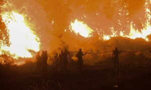 af_greecefire_1408-1