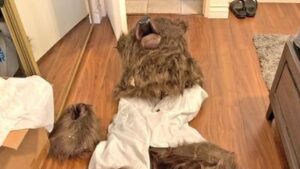 skynews-bear-costume_6747953