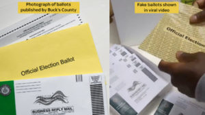 skynews-disinfo-election_6739747-1