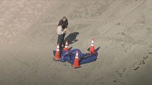 skynews-florida-us-beach-human-head_6747145-1