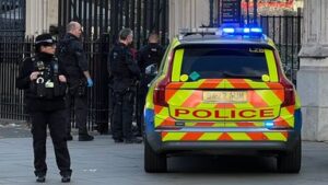 skynews-parliament-police-knives_6746747-1